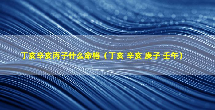 丁亥辛亥丙子什么命格（丁亥 辛亥 庚子 壬午）